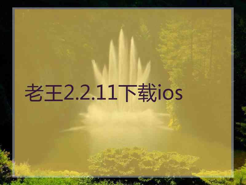 老王2.2.11下载ios