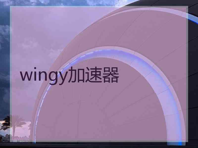 wingy加速器