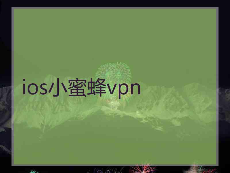 ios小蜜蜂vpn