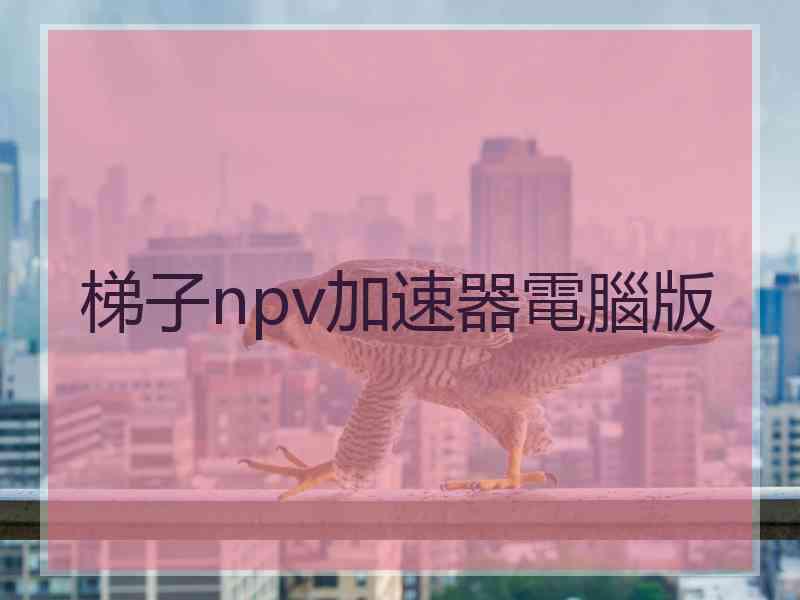 梯子npv加速器電腦版