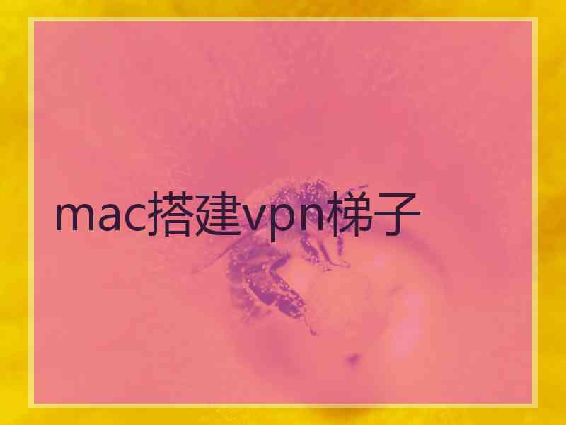 mac搭建vpn梯子