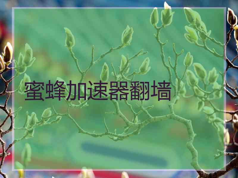 蜜蜂加速器翻墙