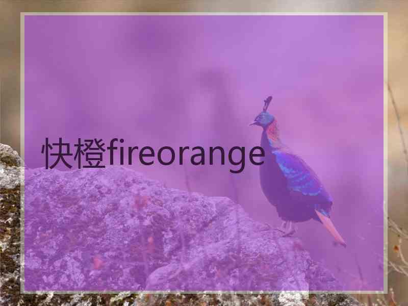 快橙fireorange