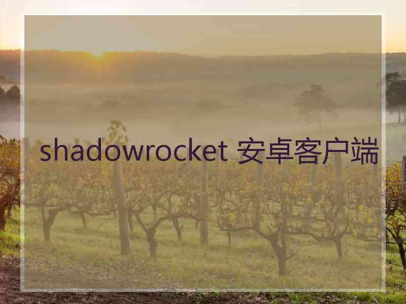 shadowrocket 安卓客户端