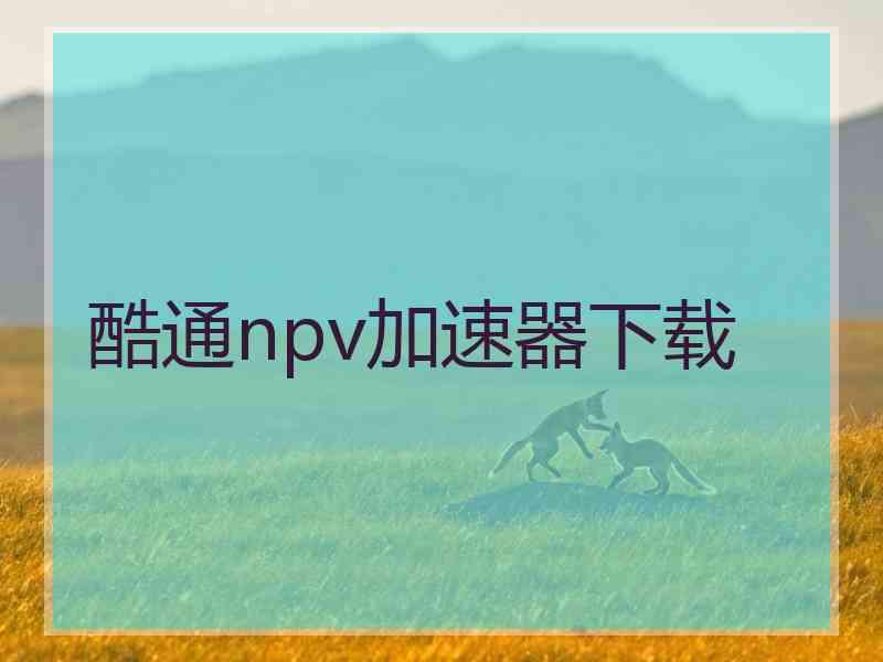 酷通npv加速器下载