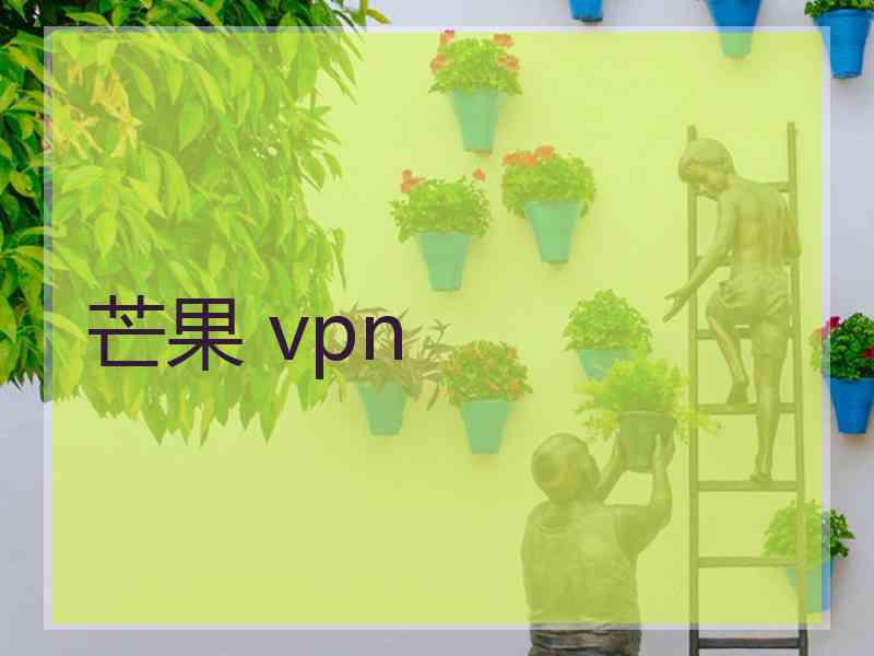 芒果 vpn