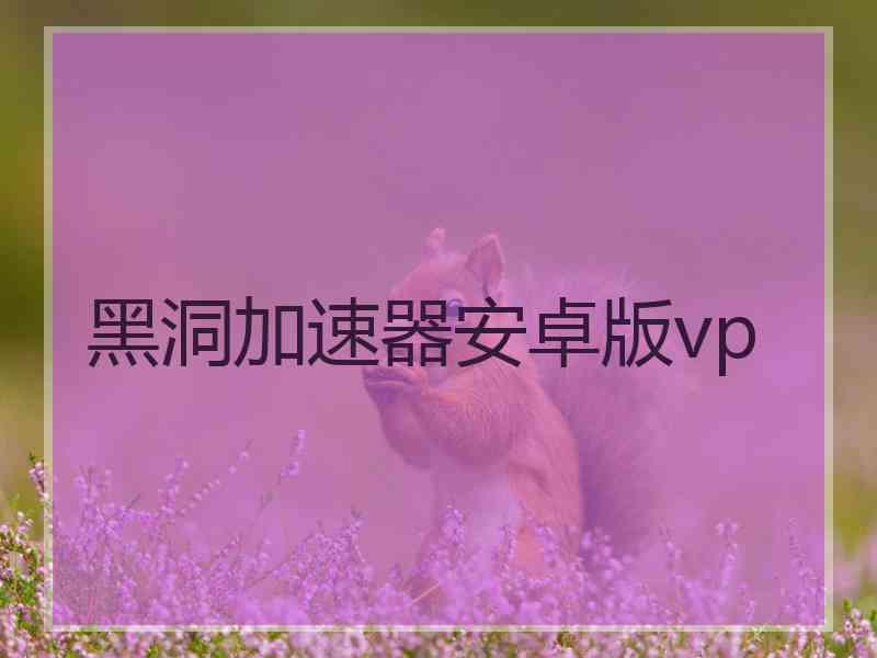 黑洞加速器安卓版vp