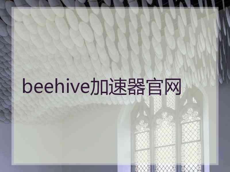 beehive加速器官网