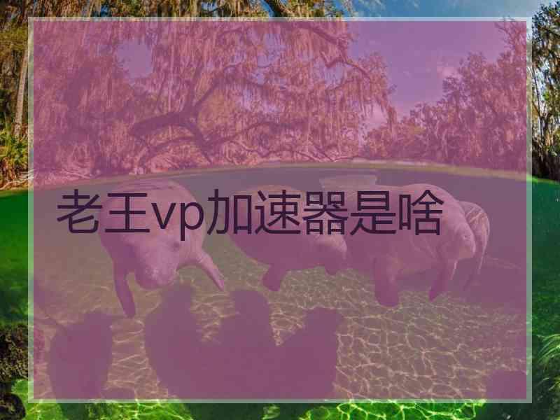 老王vp加速器是啥