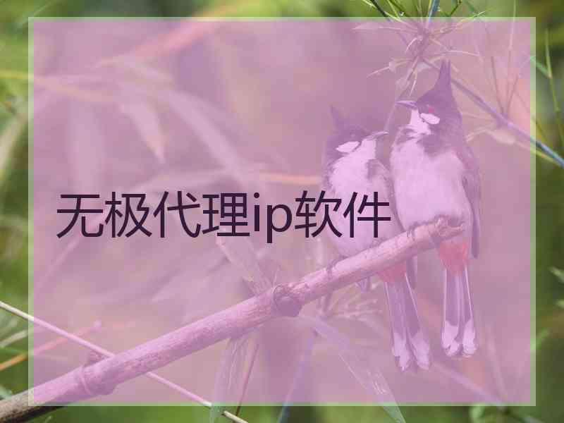 无极代理ip软件