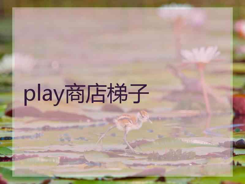 play商店梯子