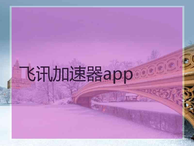 飞讯加速器app