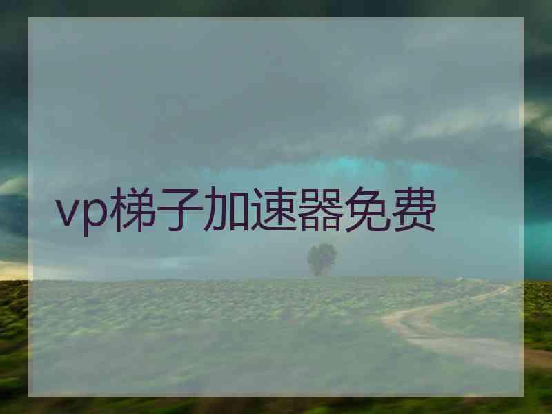 vp梯子加速器免费