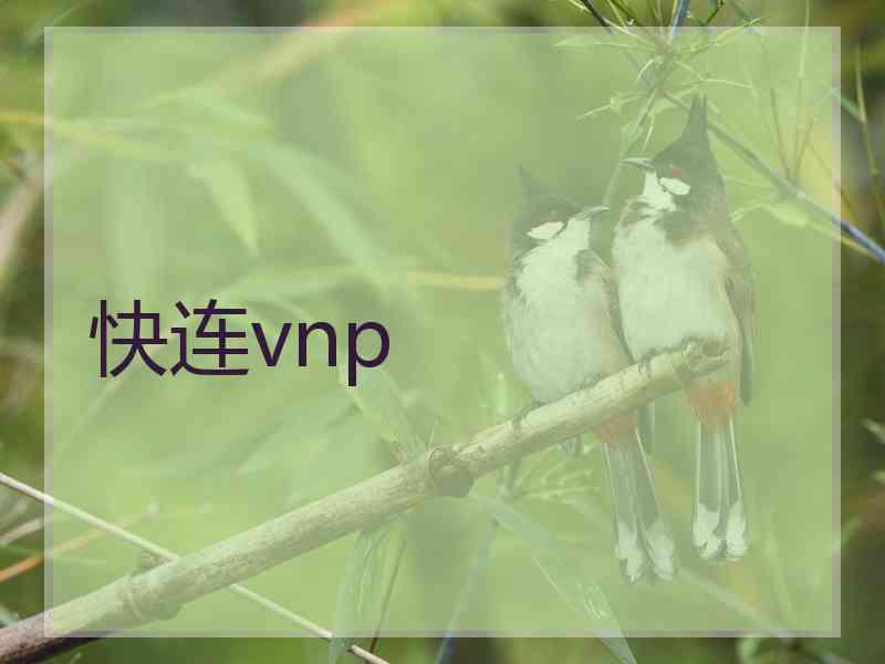 快连vnp