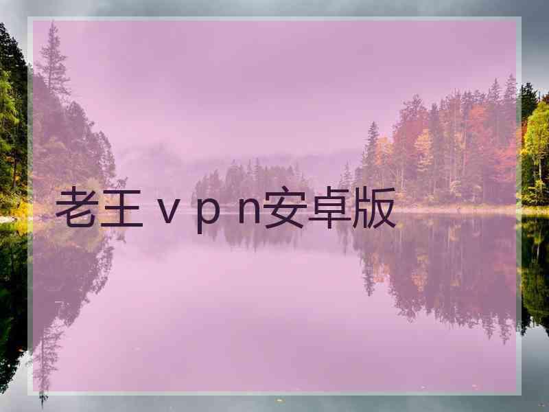 老王 v p n安卓版