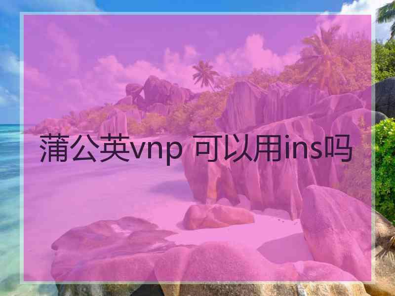 蒲公英vnp 可以用ins吗