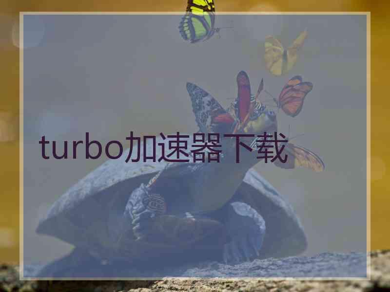 turbo加速器下载