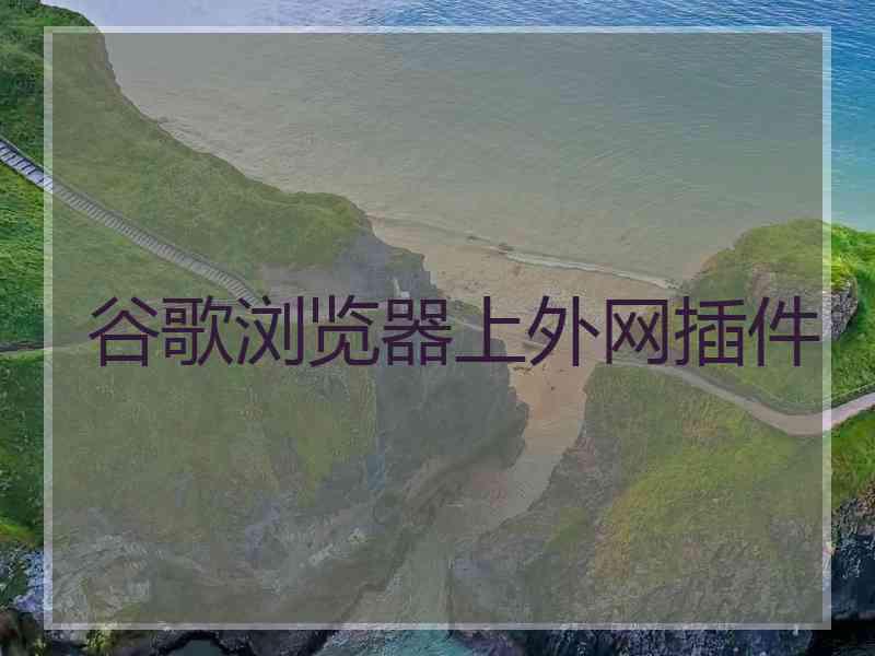 谷歌浏览器上外网插件