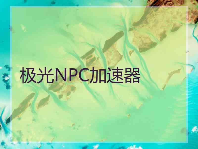 极光NPC加速器