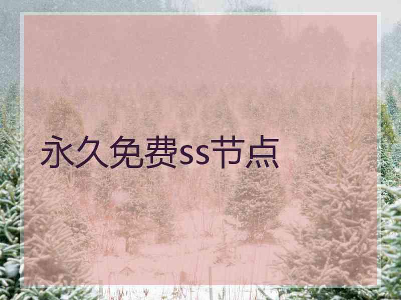 永久免费ss节点