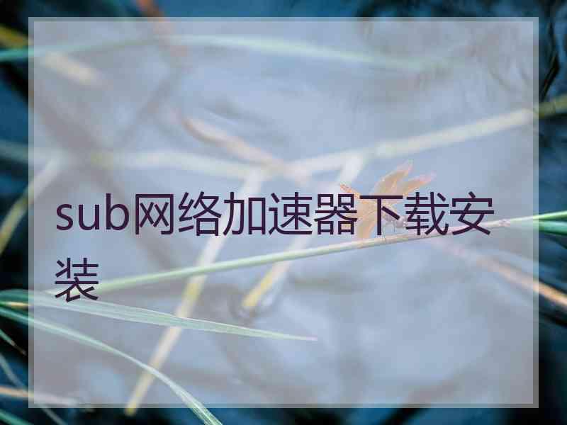 sub网络加速器下载安装