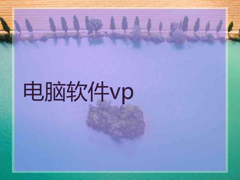 电脑软件vp