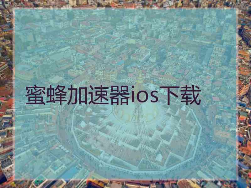 蜜蜂加速器ios下载