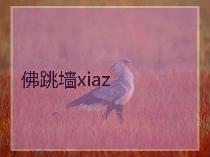 佛跳墙xiaz