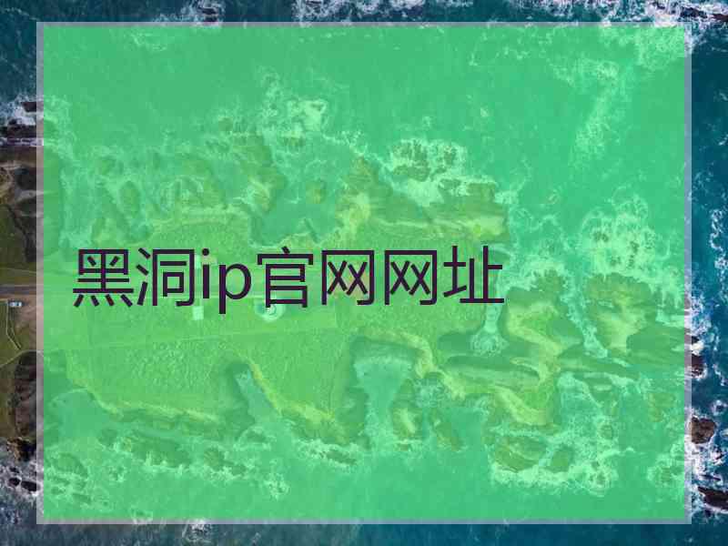 黑洞ip官网网址