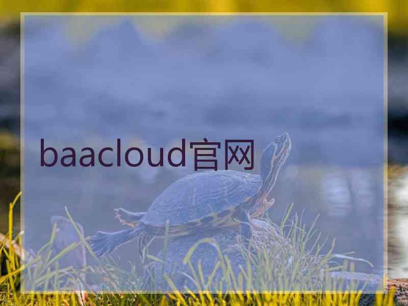 baacloud官网