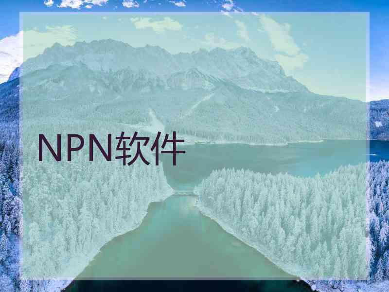 NPN软件