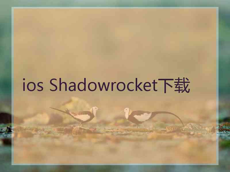 ios Shadowrocket下载