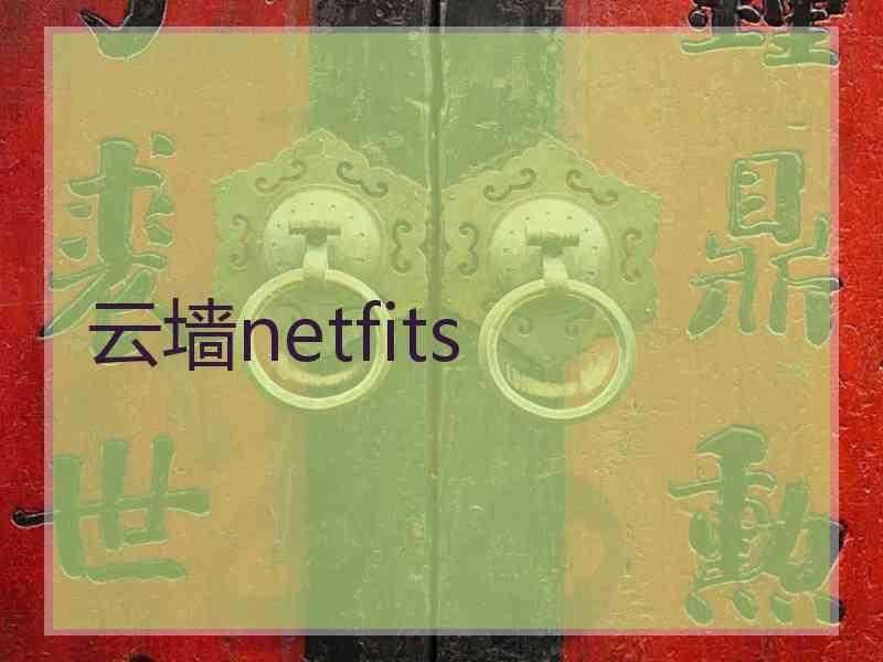 云墙netfits