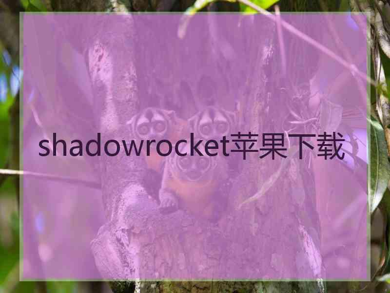 shadowrocket苹果下载