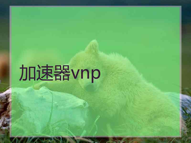 加速器vnp