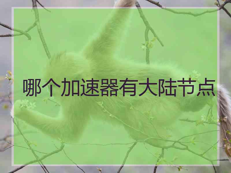 哪个加速器有大陆节点