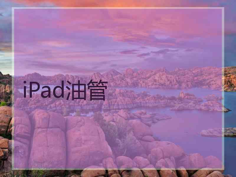 iPad油管