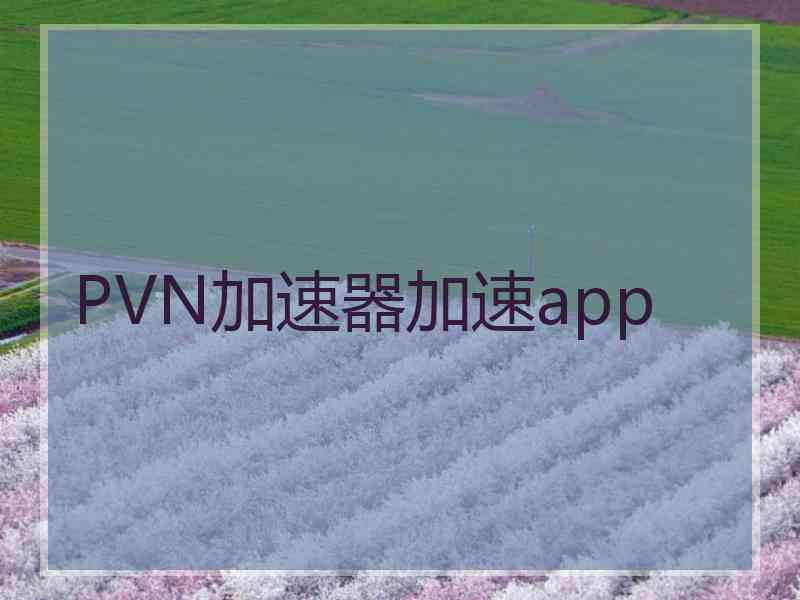 PVN加速器加速app