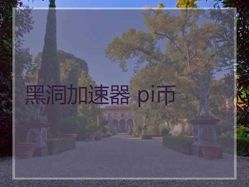 黑洞加速器 pi币