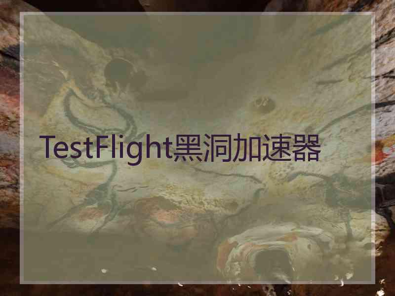 TestFlight黑洞加速器