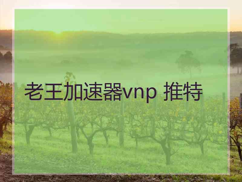 老王加速器vnp 推特