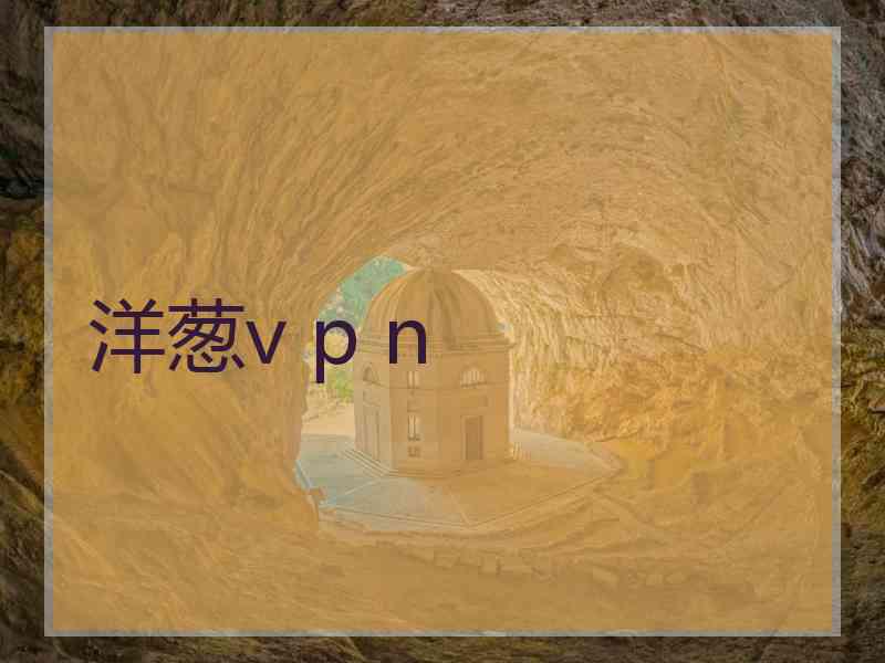 洋葱v p n