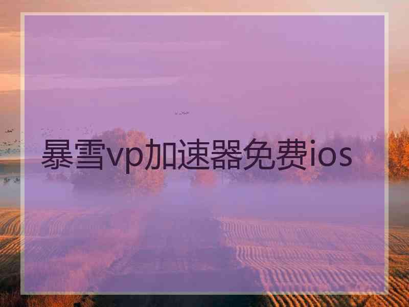 暴雪vp加速器免费ios