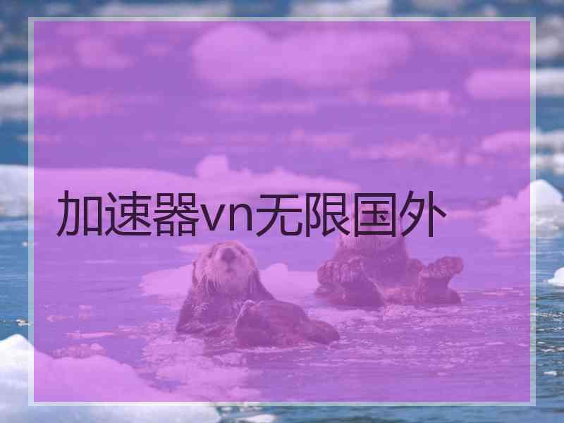 加速器vn无限国外