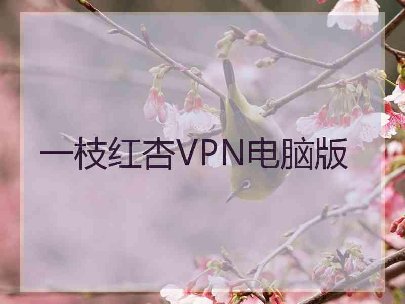 一枝红杏VPN电脑版