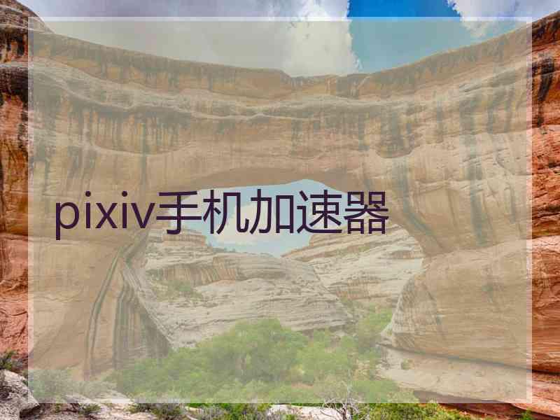 pixiv手机加速器