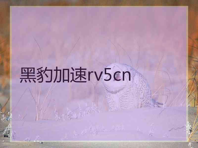 黑豹加速rv5cn