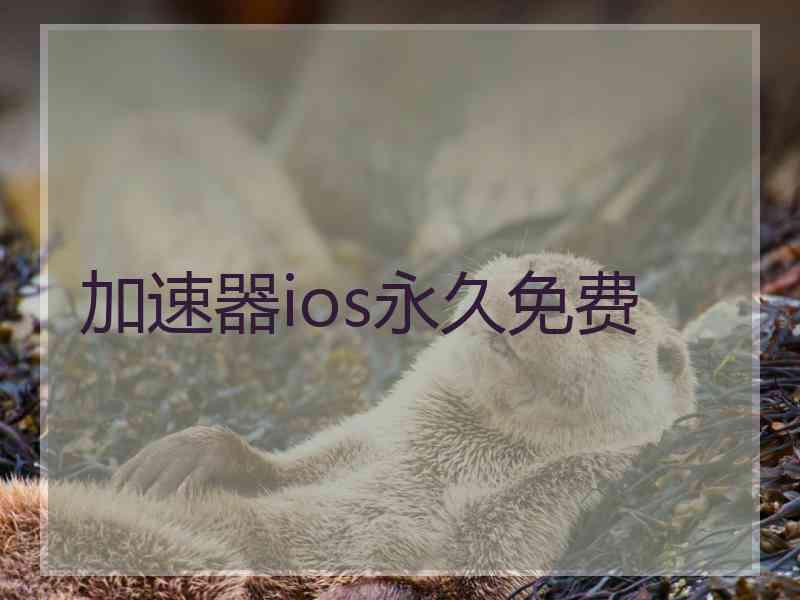 加速器ios永久免费