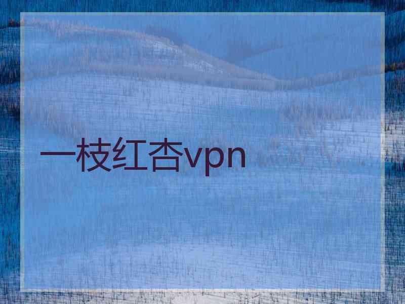 一枝红杏vpn