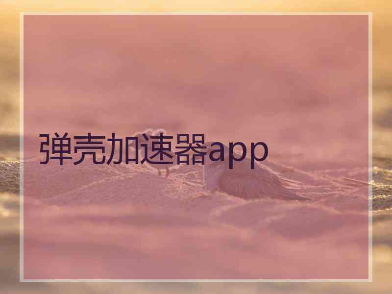 弹壳加速器app